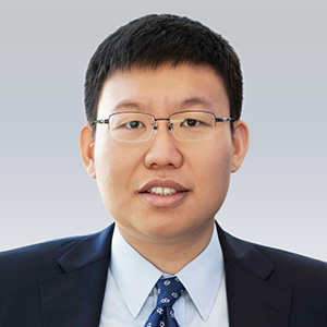Prof Song MASenior Fellow